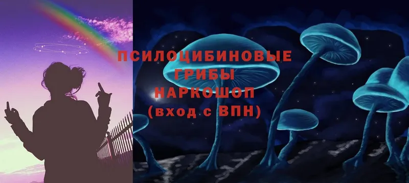 Галлюциногенные грибы Magic Shrooms  Луга 